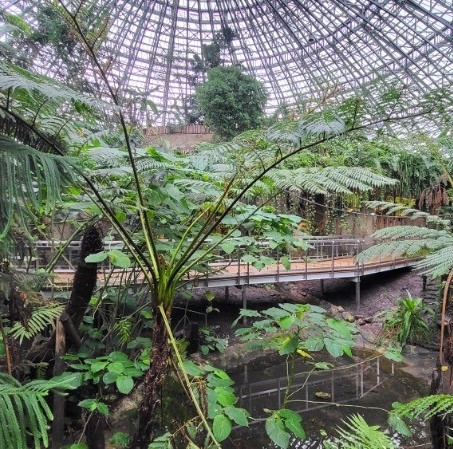 Structure d’une passerelle piétonne après la pose du plancher dans un environnement humide